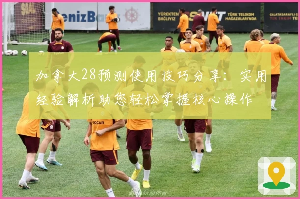 加拿大28预测使用技巧分享：实用经验解析助您轻松掌握核心操作
