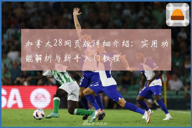 加拿大28网页版详细介绍：实用功能解析与新手入门教程