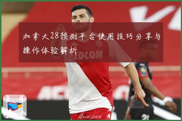 加拿大28预测平台使用技巧分享与操作体验解析