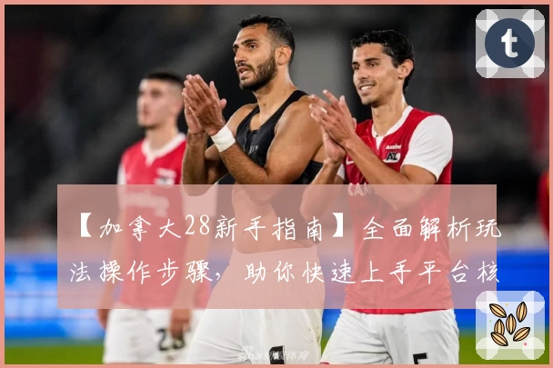 【加拿大28新手指南】全面解析玩法操作步骤，助你快速上手平台核心功能