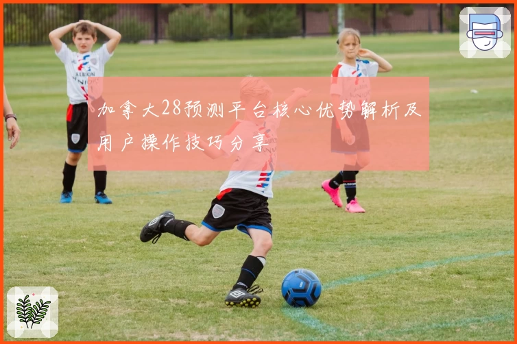 加拿大28预测平台核心优势解析及用户操作技巧分享
