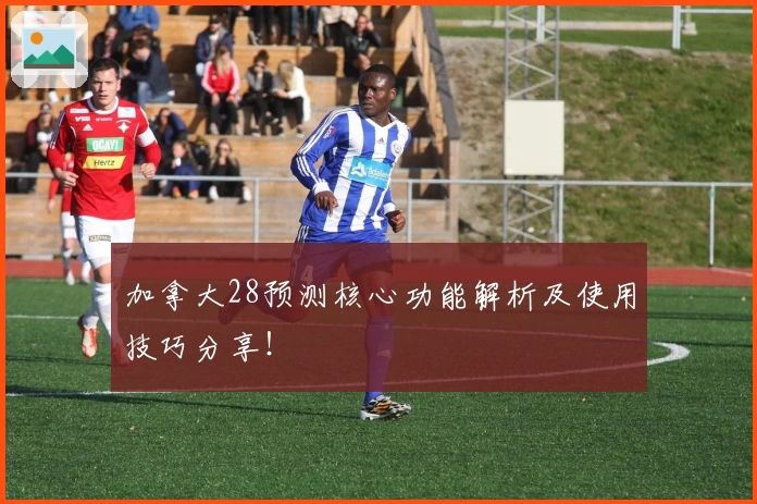 加拿大28预测核心功能解析及使用技巧分享！