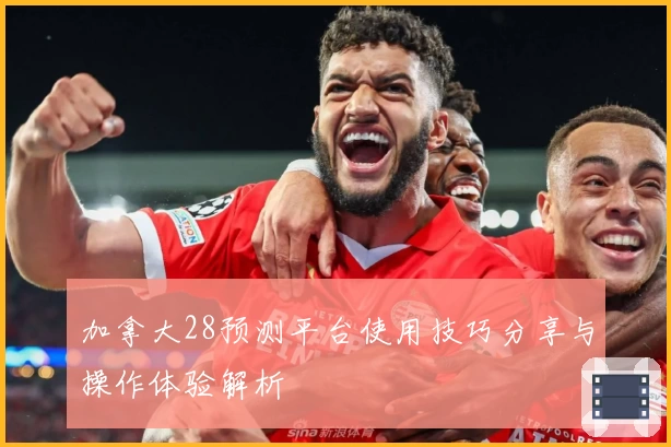 加拿大28预测平台使用技巧分享与操作体验解析