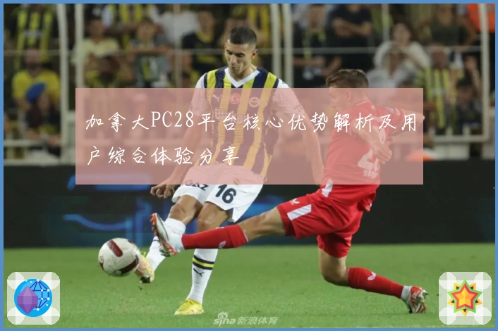 加拿大PC28平台核心优势解析及用户综合体验分享