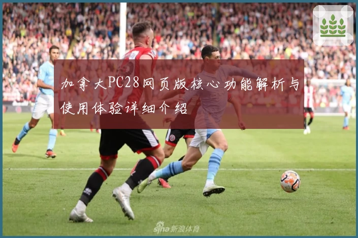 加拿大PC28网页版核心功能解析与使用体验详细介绍