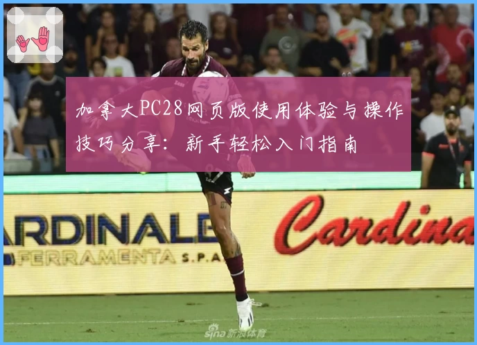 加拿大PC28网页版使用体验与操作技巧分享：新手轻松入门指南