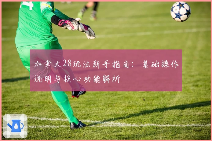 加拿大28玩法新手指南：基础操作说明与核心功能解析